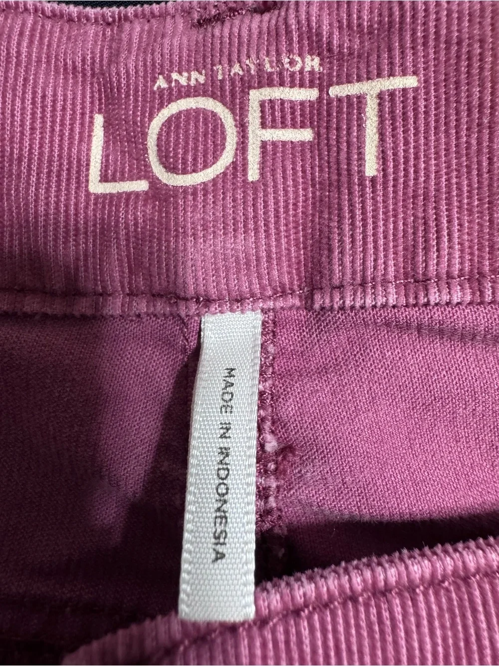 Ann Taylor Loft Size 6/28 Soft Berry Pants